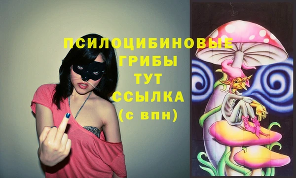 твердый Алексеевка