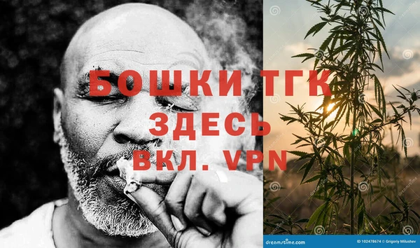 дживик Михайлов