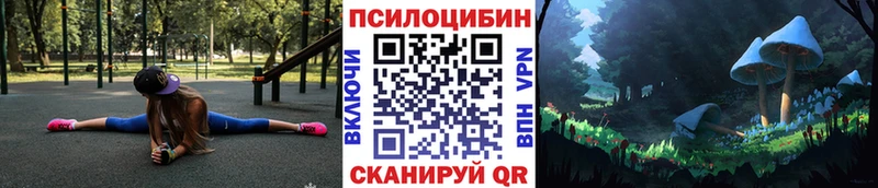 OMG сайт Фролово Псилоцибиновые грибы Cubensis